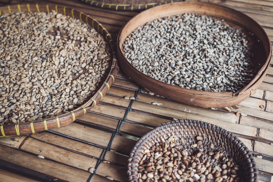 jak sie produkuje najdrozsza kawe na swiecie kawa luwak